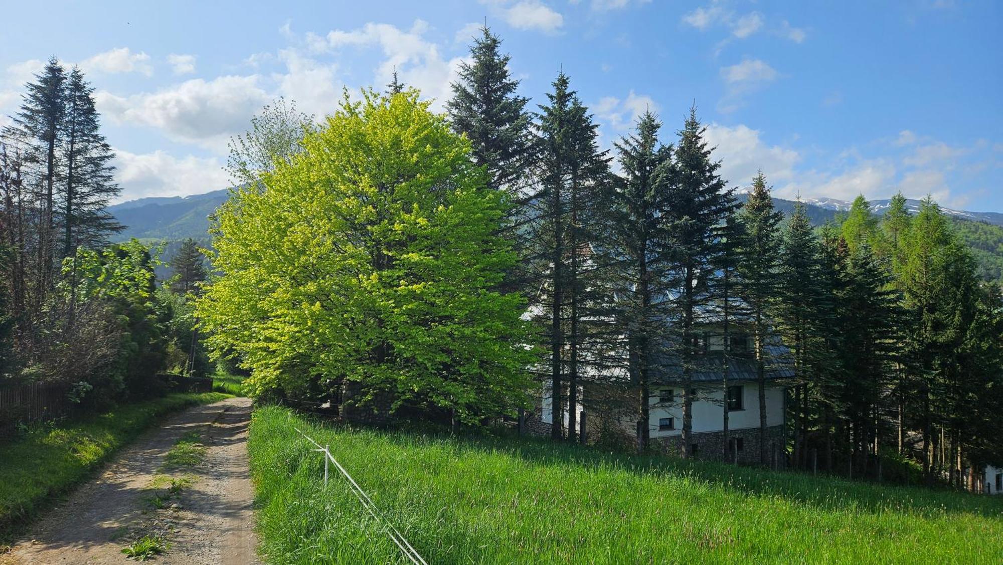 Kalinówka Kościelisko Apartamento Exterior foto
